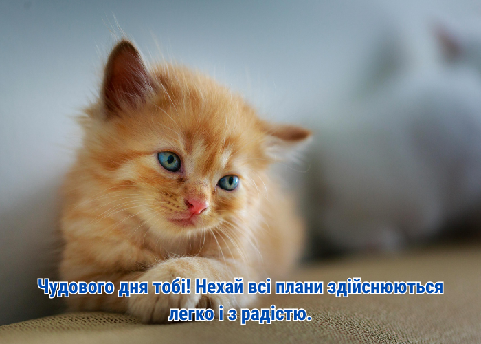 доброго дня - картинки українською